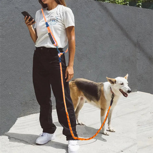 "FreedomPaws Reflective Hands-Free Dual Leash: Your Ultimate Companion for Safe and Active Dog Walks!"